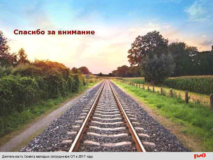 Спасибо за внимание Деятельность Совета молодых сотрудников СП в 2017 году 