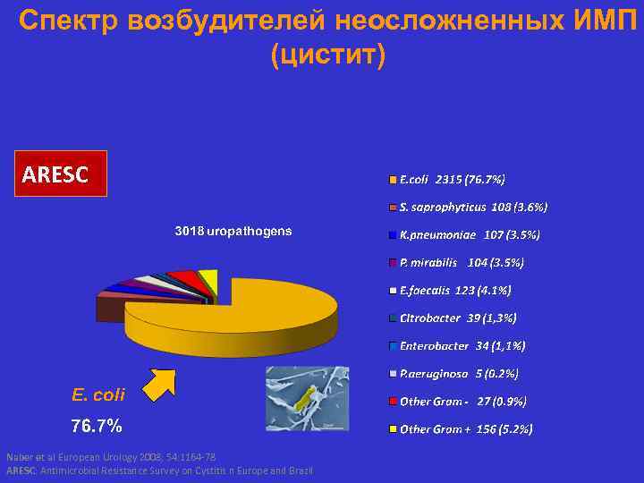 Спектр возбудителей неосложненных ИМП (цистит) ARESC Naber et al European Urology 2008; 54: 1164