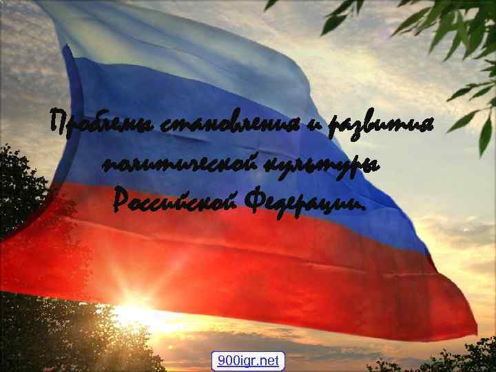 Проблемы становления и развития политической культуры Российской Федерации. 900 igr. net 