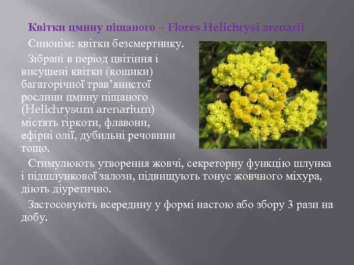 Квітки цмину піщаного – Flores Helichrysi arenarii Синонім: квітки безсмертнику. Зібрані в період цвітіння