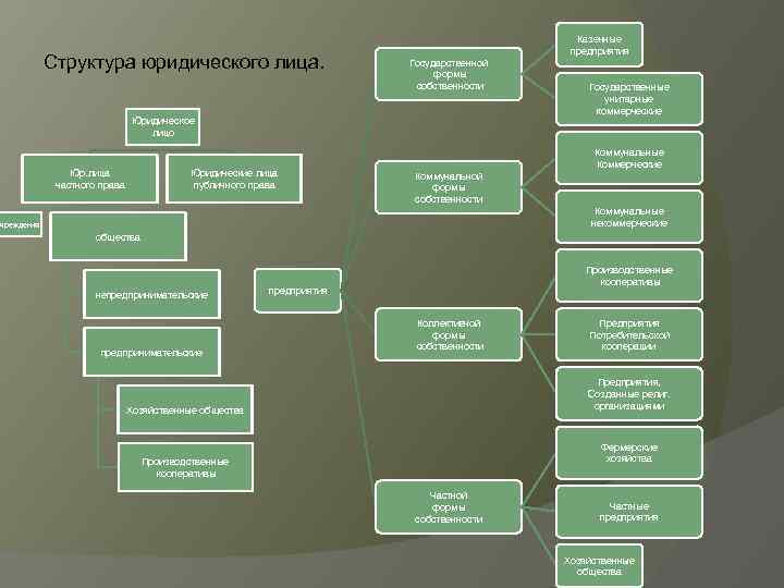 Структура юридического лица. Казенные предприятия Государственной формы собственности Юридическое лицо Юр. лица частного права