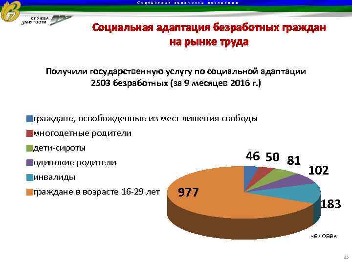 Содействие занятости населения Социальная адаптация безработных граждан на рынке труда Получили государственную услугу по