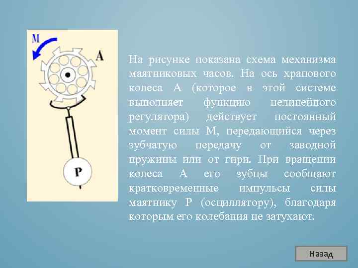 На рисунке показана схема механизма маятниковых часов. На ось храпового колеса A (которое в