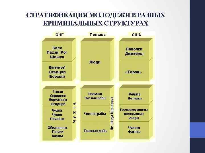 СТРАТИФИКАЦИЯ МОЛОДЕЖИ В РАЗНЫХ КРИМИНАЛЬНЫХ СТРУКТУРАХ 