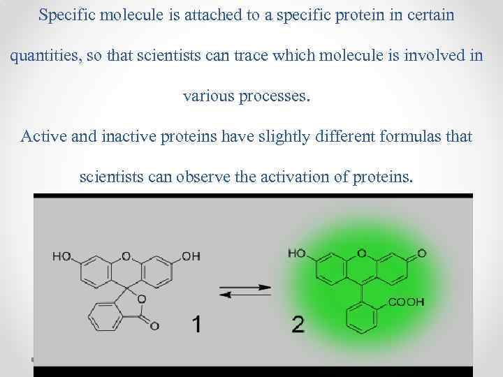 Specific molecule is attached to a specific protein in certain quantities, so that scientists