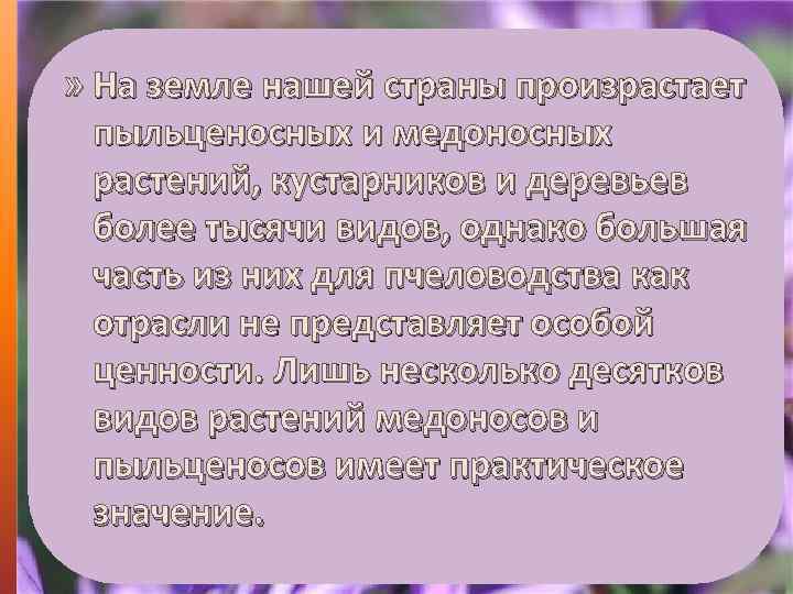» На земле нашей страны произрастает пыльценосных и медоносных растений, кустарников и деревьев более