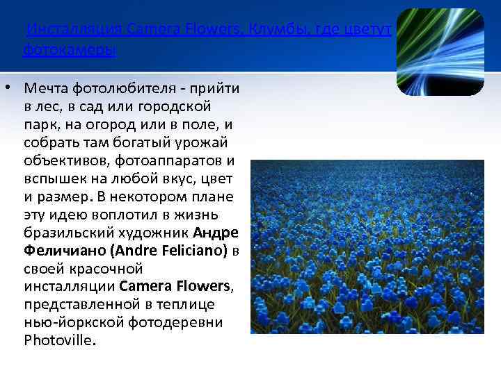  Инсталляция Camera Flowers. Клумбы, где цветут фотокамеры • Мечта фотолюбителя - прийти в