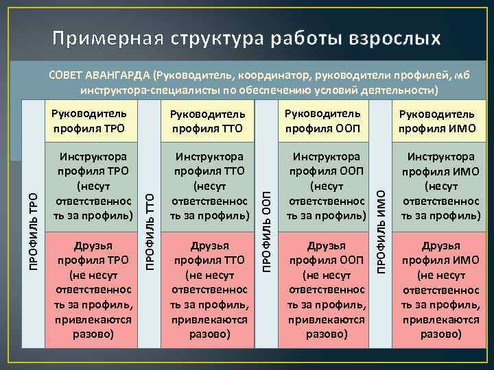 Примерная структура работы взрослых СОВЕТ АВАНГАРДА (Руководитель, координатор, руководители профилей, мб инструктора-специалисты по обеспечению
