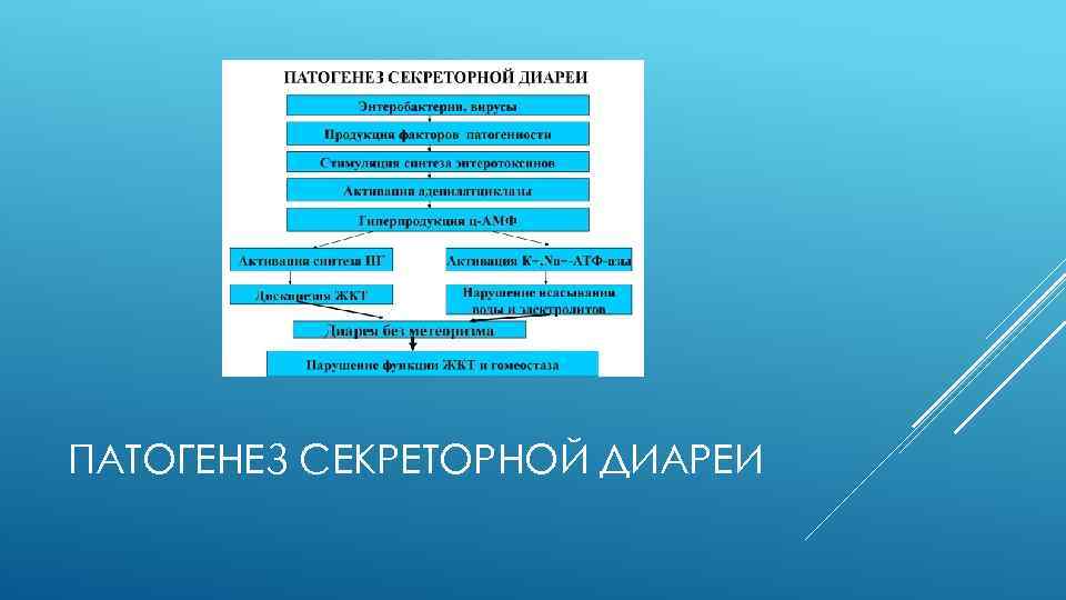 ПАТОГЕНЕЗ СЕКРЕТОРНОЙ ДИАРЕИ 