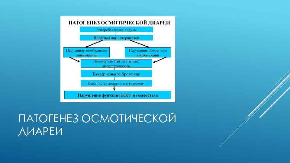 ПАТОГЕНЕЗ ОСМОТИЧЕСКОЙ ДИАРЕИ 