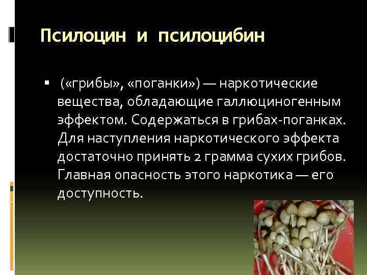 Псилоцин и псилоцибин ( «грибы» , «поганки» ) — наркотические вещества, обладающие галлюциногенным эффектом.