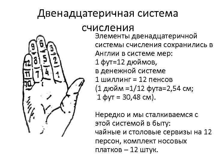 Почему система счисления. Двенадцатиричная система счисления. Двенадцатиричная система исчисления шумеры. 12 В двенадцатеричной системе счисления. 12 Ричная система исчисления.