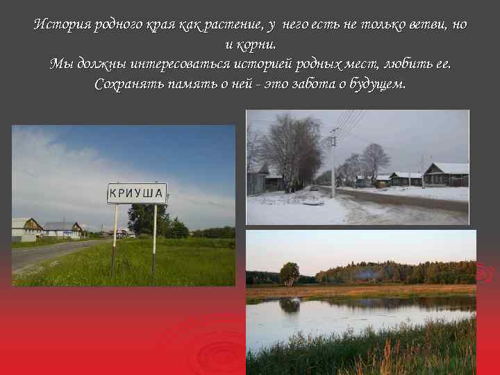 История родного края как растение, у него есть не только ветви, но и корни.