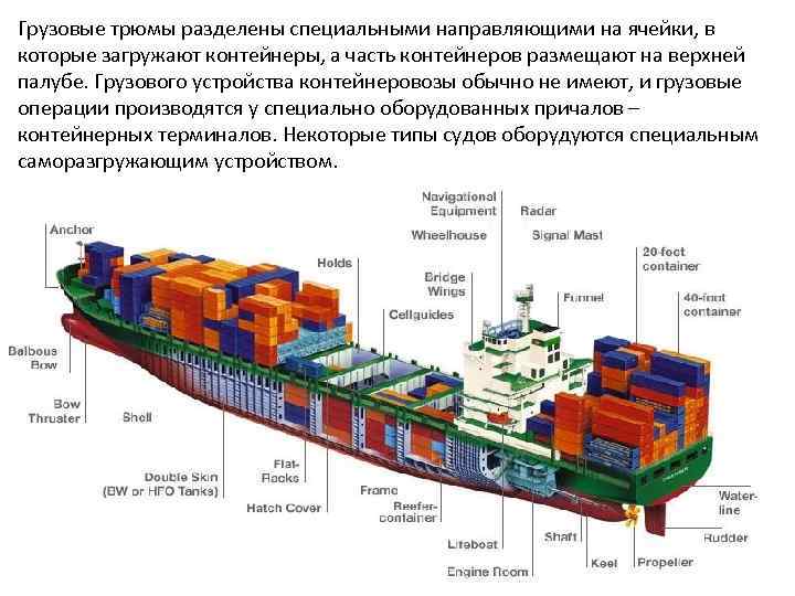 Грузовые трюмы разделены специальными направляющими на ячейки, в которые загружают контейнеры, а часть контейнеров