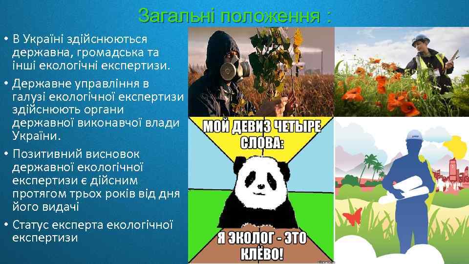 Загальні положення : • В Україні здійснюються державна, громадська та інші екологічні експертизи. •