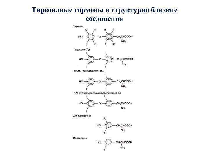 Тиреоидные гормоны и структурно близкие соединения 