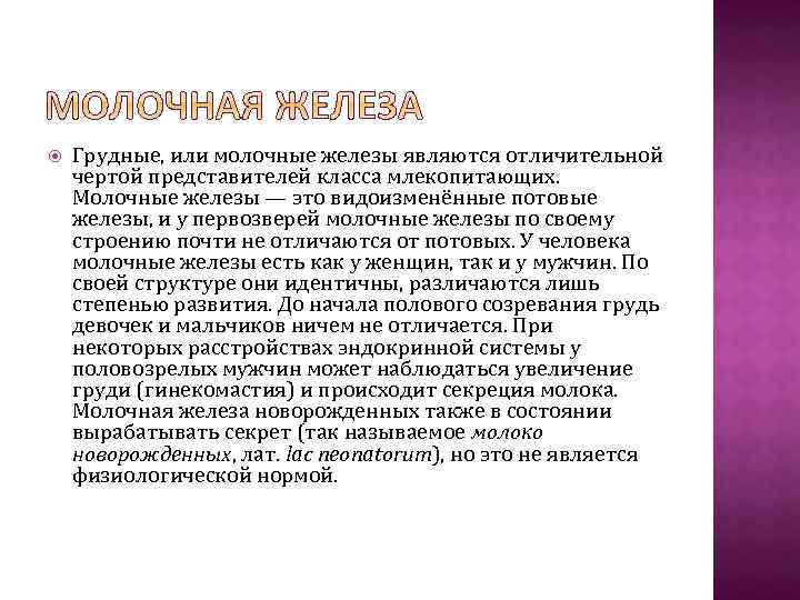  Грудные, или молочные железы являются отличительной чертой представителей класса млекопитающих. Молочные железы —