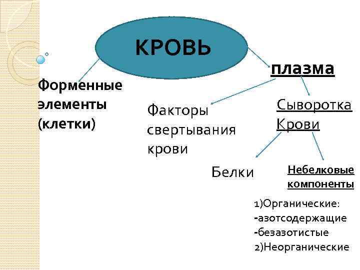 КРОВЬ Форменные элементы (клетки) плазма Факторы свертывания крови Белки Сыворотка Крови Небелковые компоненты 1)Органические: