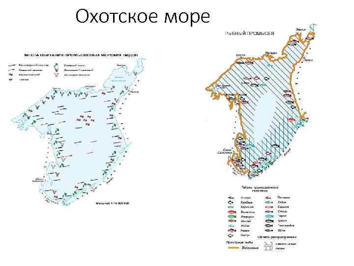 Охотское море 
