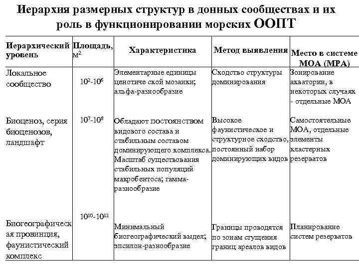 Иерархия размерных структур в донных сообществах и их роль в функционировании морских ООПТ Иерархический