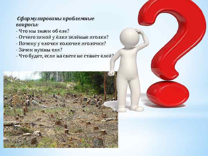 Проблемный вопрос. Сформулируйте проблемный вопрос. Как сформулировать проблемный вопрос в проекте. Зачем нужны ели. Сформулируй проблемный вопрос в интересующей тебя области.