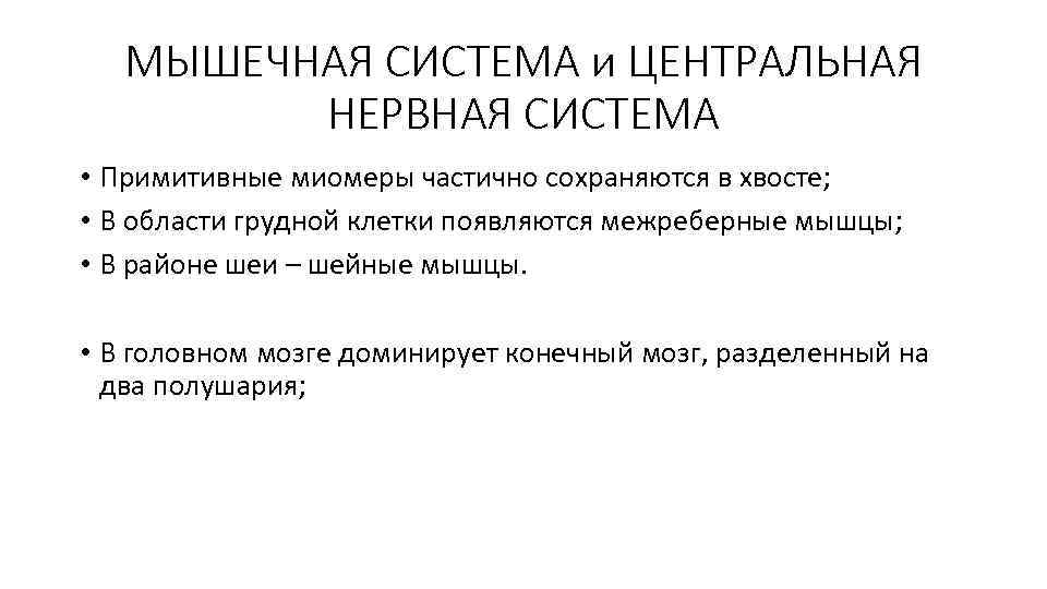 МЫШЕЧНАЯ СИСТЕМА и ЦЕНТРАЛЬНАЯ НЕРВНАЯ СИСТЕМА • Примитивные миомеры частично сохраняются в хвосте; •