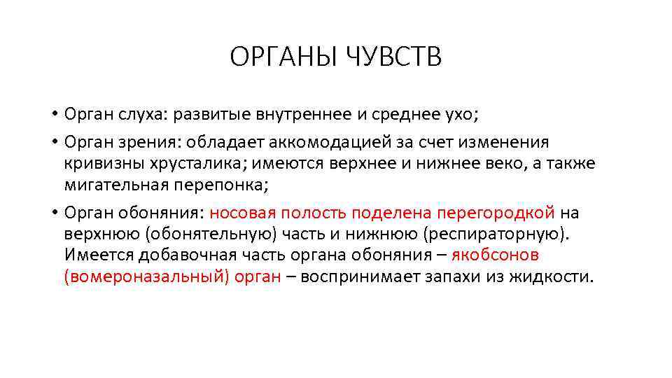 ОРГАНЫ ЧУВСТВ • Орган слуха: развитые внутреннее и среднее ухо; • Орган зрения: обладает