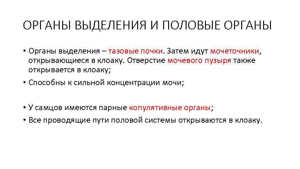 ОРГАНЫ ВЫДЕЛЕНИЯ И ПОЛОВЫЕ ОРГАНЫ • Органы выделения – тазовые почки. Затем идут мочеточники,