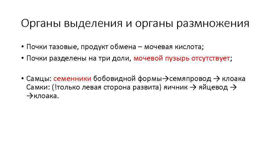 Органы выделения и органы размножения • Почки тазовые, продукт обмена – мочевая кислота; •
