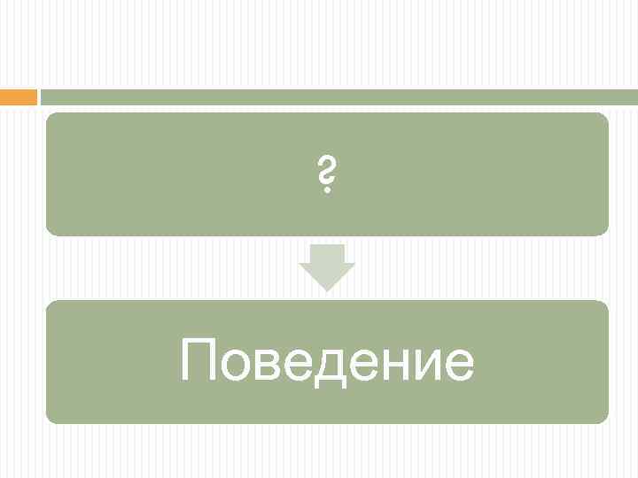 ? Поведение 