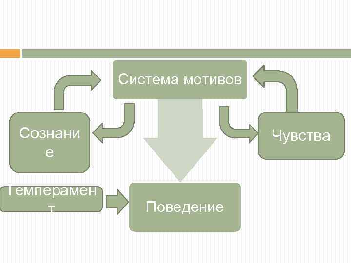 Система мотивов Сознани е Темперамен т Чувства Поведение 