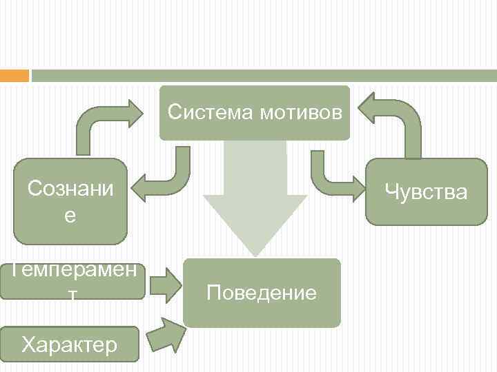 Система мотивов Сознани е Темперамен т Характер Чувства Поведение 