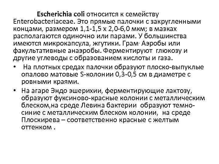 Escherichia coli относится к семейству Enterobacteriaceae. Это прямые палочки с закругленными концами, размером 1,