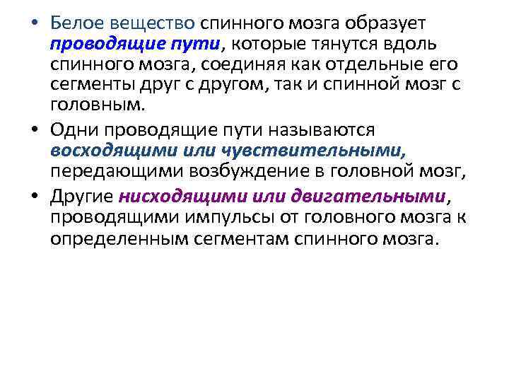  • Белое вещество спинного мозга образует проводящие пути, которые тянутся вдоль спинного мозга,