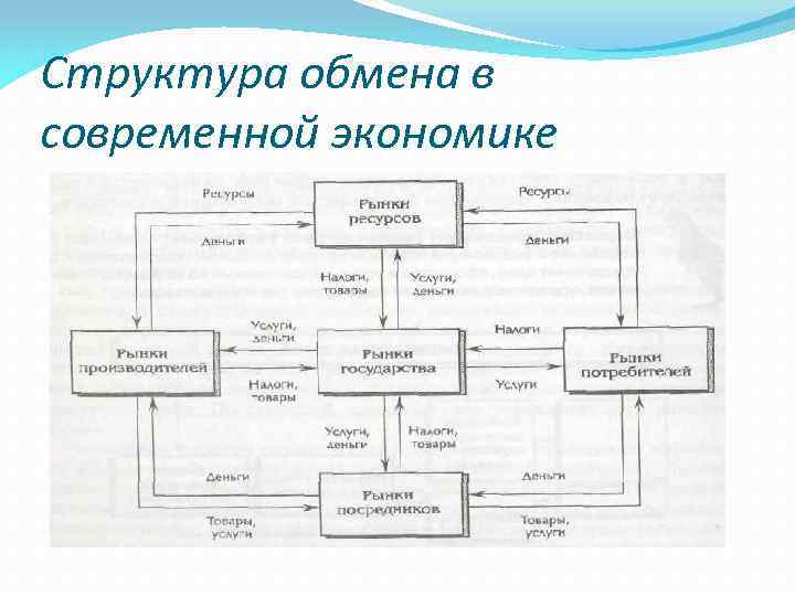 Строение обмен