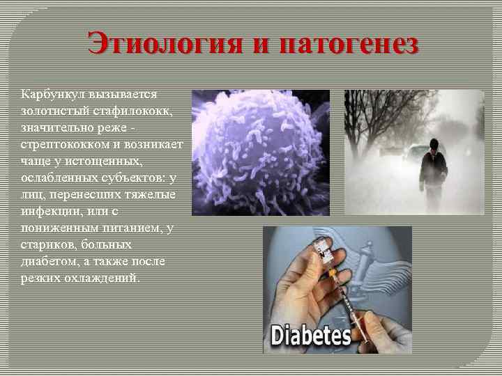 Этиология и патогенез Карбункул вызывается золотистый стафилококк, значительно реже - стрептококком и возникает чаще