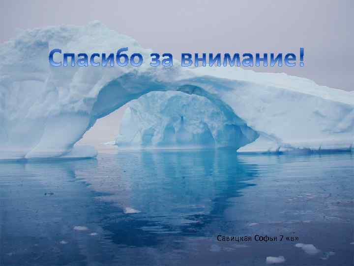 Савицкая Софья 7 «в» 