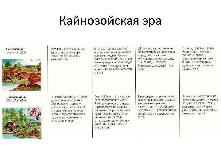 Кайнозойская эра 