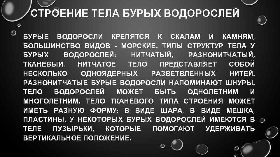 СТРОЕНИЕ ТЕЛА БУРЫХ ВОДОРОСЛЕЙ БУРЫЕ ВОДОРОСЛИ КРЕПЯТСЯ К СКАЛАМ И КАМНЯМ, БОЛЬШИНСТВО ВИДОВ -