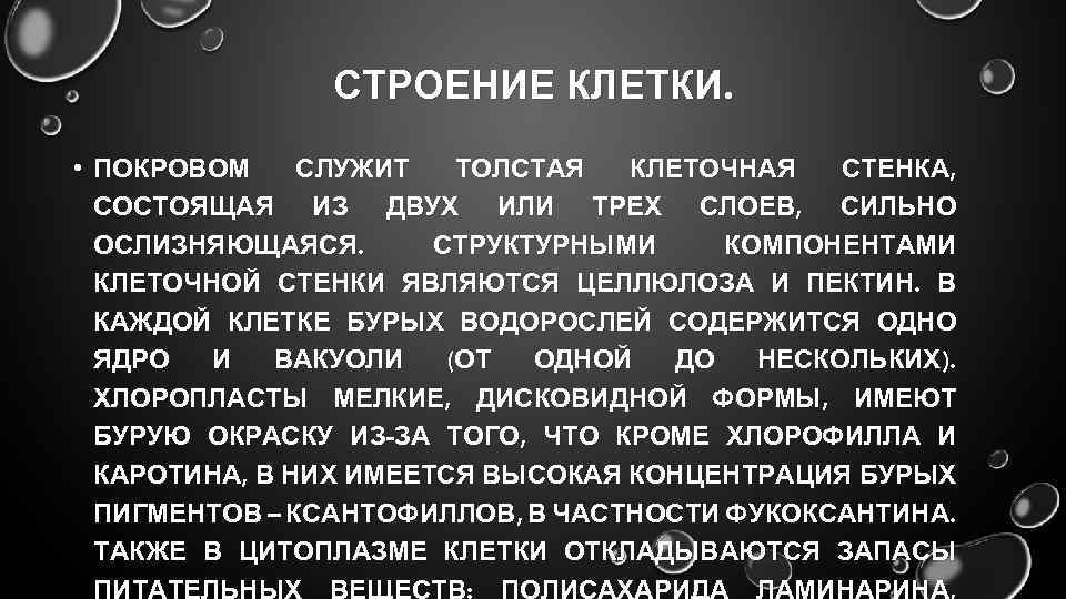 СТРОЕНИЕ КЛЕТКИ. • ПОКРОВОМ СЛУЖИТ ТОЛСТАЯ КЛЕТОЧНАЯ СТЕНКА, СОСТОЯЩАЯ ИЗ ДВУХ ИЛИ ТРЕХ СЛОЕВ,