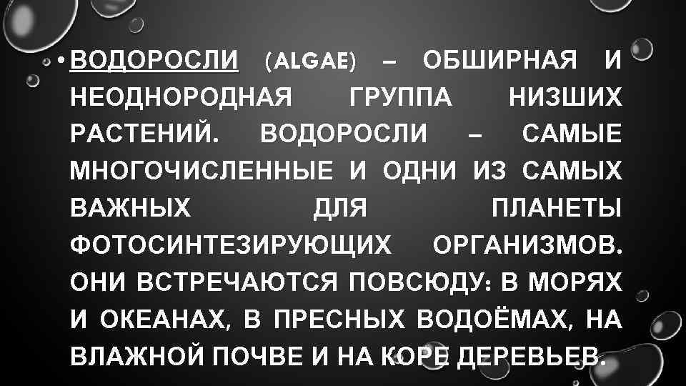  • ВОДОРОСЛИ (ALGAE) – ОБШИРНАЯ И НЕОДНОРОДНАЯ ГРУППА НИЗШИХ РАСТЕНИЙ. ВОДОРОСЛИ – САМЫЕ