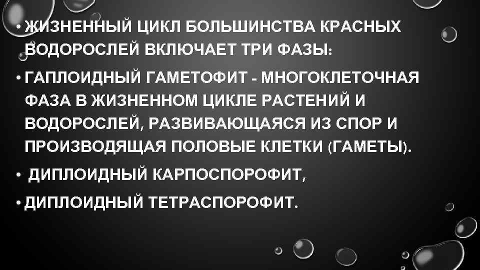  • ЖИЗНЕННЫЙ ЦИКЛ БОЛЬШИНСТВА КРАСНЫХ ВОДОРОСЛЕЙ ВКЛЮЧАЕТ ТРИ ФАЗЫ: • ГАПЛОИДНЫЙ ГАМЕТОФИТ -