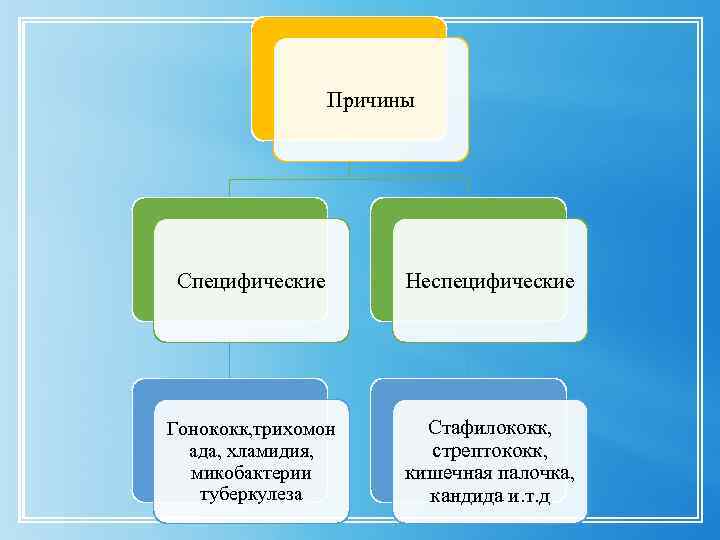 Причины Специфические Неспецифические Гонококк, трихомон ада, хламидия, микобактерии туберкулеза Стафилококк, стрептококк, кишечная палочка, кандида