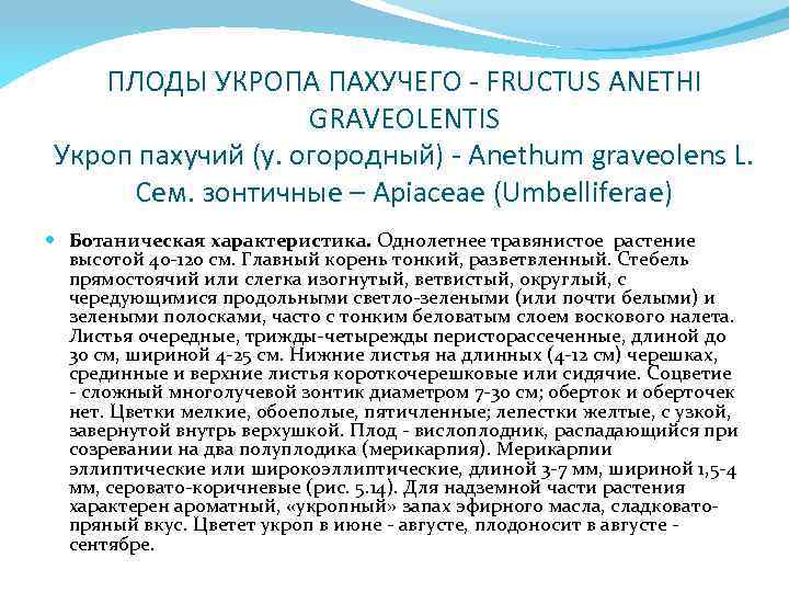 ПЛОДЫ УКРОПА ПАХУЧЕГО - FRUCTUS ANETHI GRAVEOLENTIS Укроп пахучий (у. огородный) - Anethum graveolens