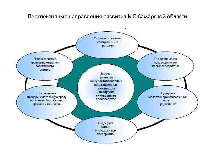 Перспективные направления развития МП Самарской области 