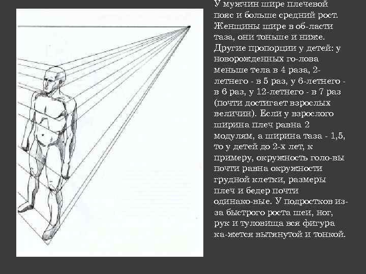 У мужчин шире плечевой пояс и больше средний рост. Женщины шире в об ласти