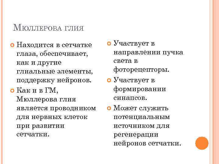 МЮЛЛЕРОВА ГЛИЯ Находится в сетчатке глаза, обеспечивает, как и другие глиальные элементы, поддержку нейронов.