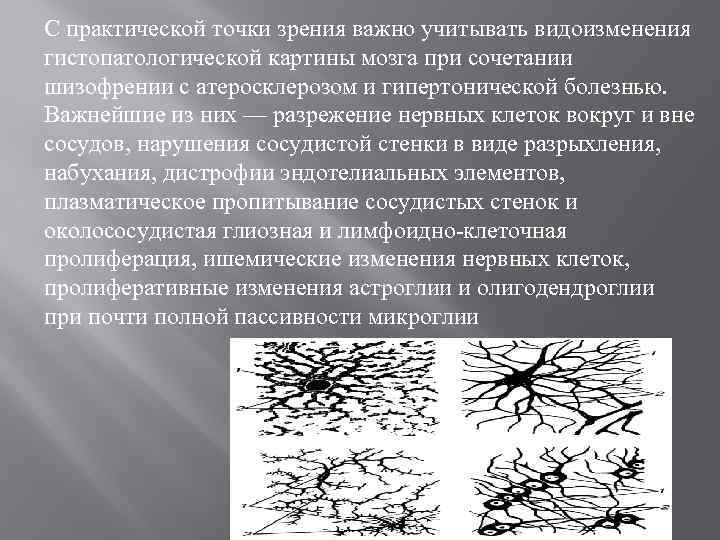 С практической точки зрения важно учитывать видоизменения гистопатологической картины мозга при сочетании шизофрении с