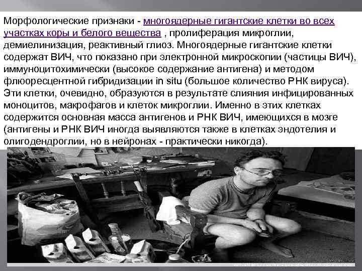 Морфологические признаки - многоядерные гигантские клетки во всех участках коры и белого вещества ,