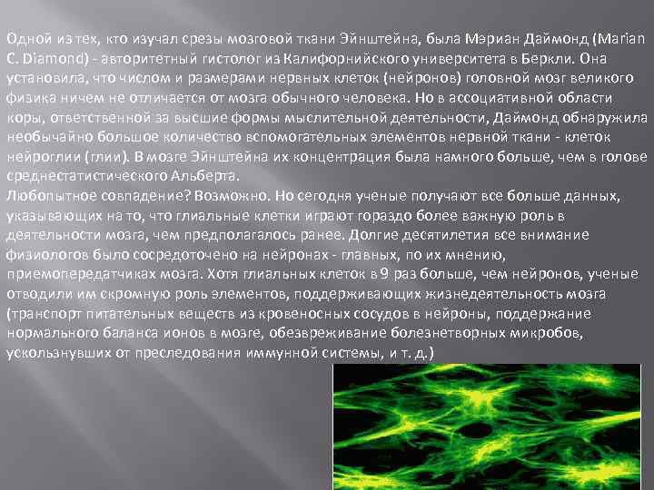 Одной из тех, кто изучал срезы мозговой ткани Эйнштейна, была Мэриан Даймонд (Marian C.